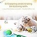 HyDren 2 Pcs Flapping Bird Cat Toys with Rolling Ball Interactive Chirping Bird Toy for Indoor Cats Rechargeable Kitten Electric Rolling Ball for Outdoor Plush Kitten Exercise Toys