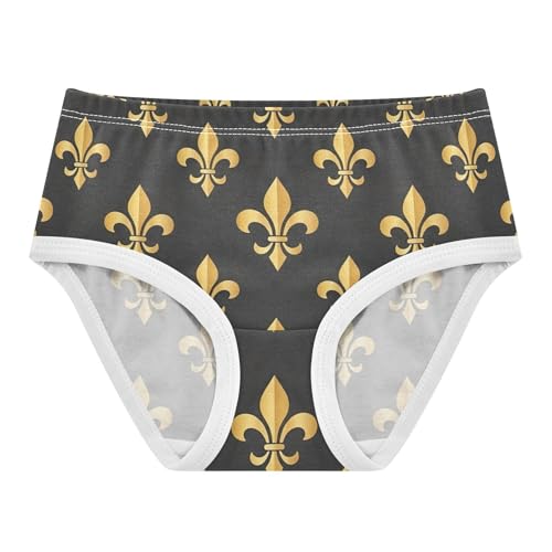 Gold Fleur De Lis Dark Gray Panties Little Girl Girls Underwear Toddlers Cotton Designer Briefs Undies Kids 2t