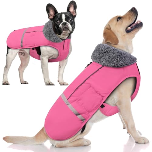 Doglay Dog Coat, Waterproof Dog Jacket Dog Winter Coat for Cold Weather with Thicken Furry Collar, Reflective Dog Winter Jacket Warm Fleece Lining, Dog Snow Coat for Small Medium Large Dogs