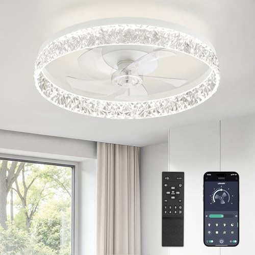 LEDIARY 22" Modern Ceiling Fans with Lights and Remote, Dimmable