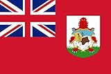 DIPLOMAT-FLAGS