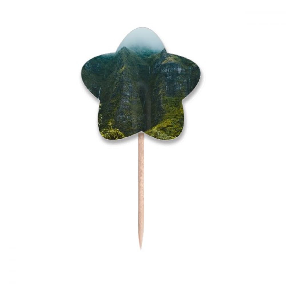 Cupcake picks étoiles Jungle Valley pour animer un anniversaire enfant et buffet de fête