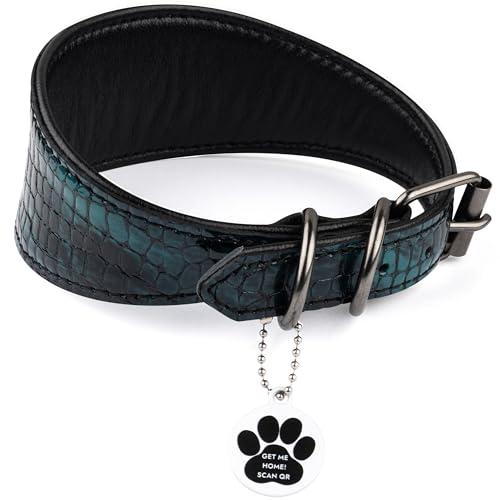 FAVPET Luxus Echtleder Windhund Halsband Breit mit QR Code Anhänger, Weiches Lederhalsband Hund Breit Whippet Italienisches Windspiel Saluki Lurcher Spanischer Galgo Greyhound Podenco (Grün, XS)