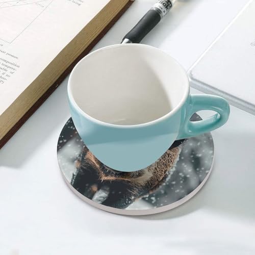 Dessous de verre en céramique sanglier lot de 6 ronds absorbants pour table basse