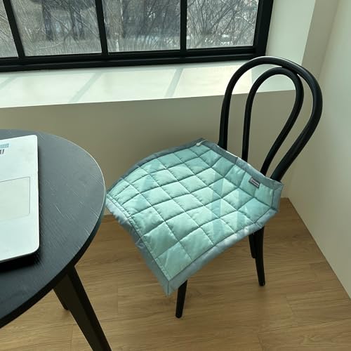 shieldgreen Grounding Square Pad-Stainless Steel Fabric, 20x20 inch (mint)