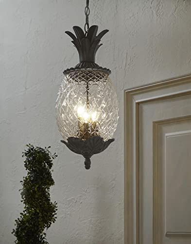 Acclaim 7516Bc Lanai Collection 3-Light Outdoor Light Fixture Hanging Lantern, Black Coral #TOP2