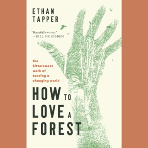 S.6 Ep.11: How To Love a Forest