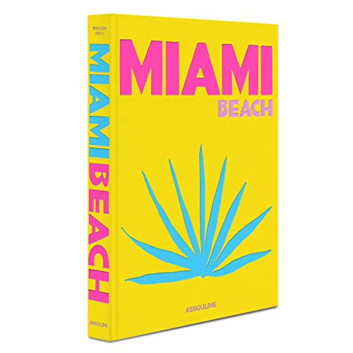 Télécharger Miami Beach PDF