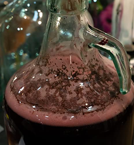 DIAH Do It At Home Fermenteur Demijohn en verre de 5 l avec sas et bouchon en caoutchouc – Carboy transparent pour brassage maison du vin, du cidre, de l'hydromel, du kombucha et de la bière – vue 5