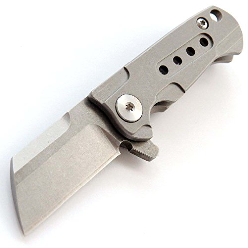 Eafengrow EF202 Mini Pocket Knife Folding Knife with S35VN Blade Titanium Alloy Handle Outdoor Camping Knives EDC Tool (gray)