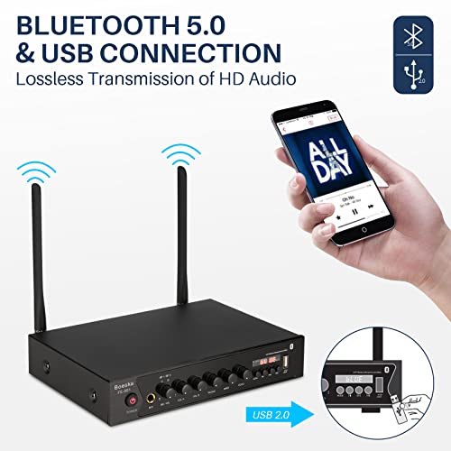 Wireless Microphone System, 262Ft Range Uhf Dual Cordless Handheld Mic Set For Home Karaoke, Singing, Speech, Party, Meeting, Church (Black (W Battery)) #TOP3