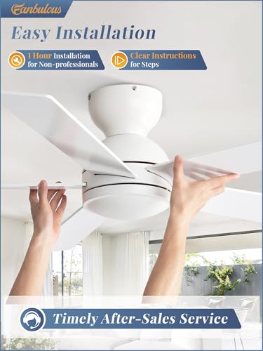 Image of Fanbulous 48 Inch White Ceiling Fan no light, Flush Mount Low Profile