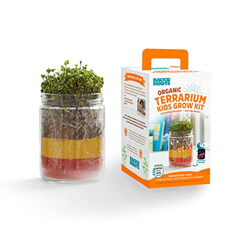 Back to the Roots Terrarium Grow Kit - Easy-to-Use DIY Set for All Ages Small