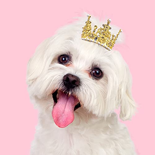 BIPY 2 Stück Hundekrone Stirnband Haustier Geburtstag Hüte Kopfschmuck Gold Silber Prinzessin Strass Kunstperle Krone Tiaras für mittelgroße kleine Welpen Katzen Hunde Party Hochzeit Haarschmuck