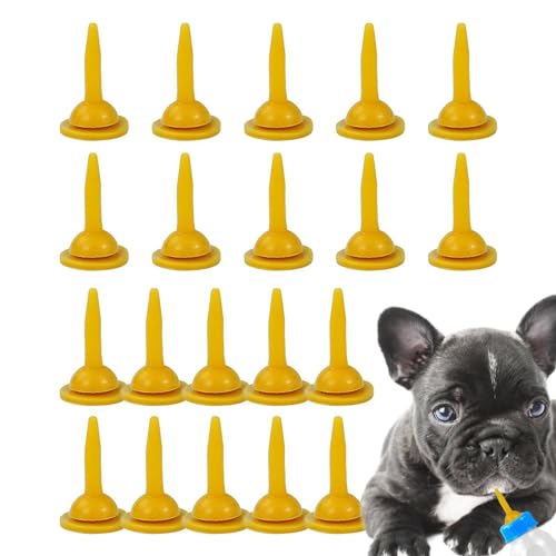 qL̎p - 20 ybg{gėp\ȃybgVR[{gqL~Nނ߂̓VefBxAa ybgp~j񋋉aLbg 20  - ybgA܂ꂽ΂̎qLApԂ