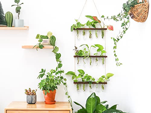 Ivolador Wall Hanging Planter Terrarium With Wooden Stand, 3 Tiered Mini Test Tube Flower Vases Retro Hanging Glass Planter Propagator For Hydroponic Plants Cutting Home Office Garden Decor(Brown) #TOP2