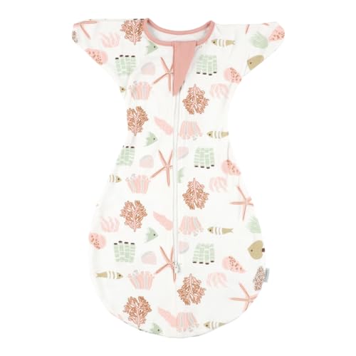 yYtz Xh V  xr[ Rbg oYj oY [ˑ΍ Ԃ X[p[ t 