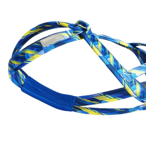 Colcolo Hunde-Laufgeschirr, Zuggeschirr, Geschwindigkeitstraining, Sport, Profi, Schlittengeschirr, Blau M
