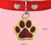 ibera gifts - Hundemarke mit Gravur - Personalisierte Hundemarke in Pfotenform für kleine und mittelgroße Haustiere - Hochwertiges legiertes Metall - Hundemarke personalisiert