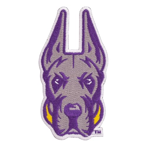 Desert Cactus University at Albany Patch – Embroidered Iron On/Sew On Applique for Blazers, Jackets, Backpacks, Bags & Hats - UAlbany Great Danes (Patch B)