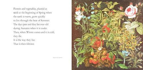 Lifetimes: The Beautiful Way to Explain Death to Children - Image 3