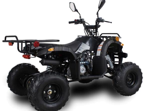 Amazon | IceBear(アイスベアー) 四輪バギー ATV 50cc 前進1速バック付