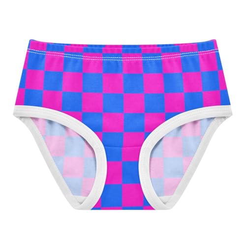 Blue and Pink Buffalo Checkered Toddler Girls's Underwear 2T