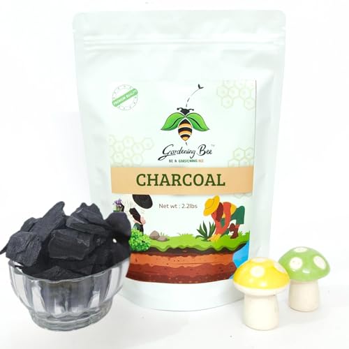 Image of Wood Based Activated Charcoal (1 Kilogram) for Orchid Potting, anthurium Plants, Horticultural Grade, Grilling, Barbecue, Baby Dhoop, BBQ Low Smoke Charcoal (1KG)