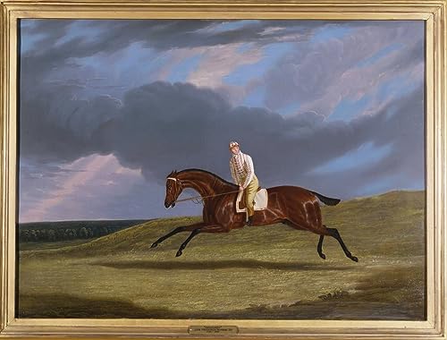 Tableau toile 60x90cm Frederick Herring Senior par SERENDIPITP