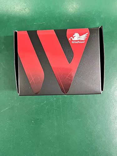 Winpower H1 / P14.5s 100W Lampadine per fari