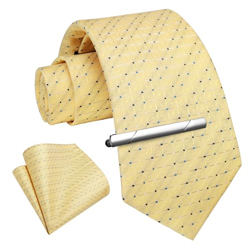 Image of Enlision Ties for Men Plaid Stripe Tie Handkerchief Woven Classic Formal Necktie Pocket Square Clip Set