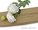Final Sale! Large & Real Looking Artificial Silk Roses | Faux Flowers with Leaves | 8 Stems | Ivory White