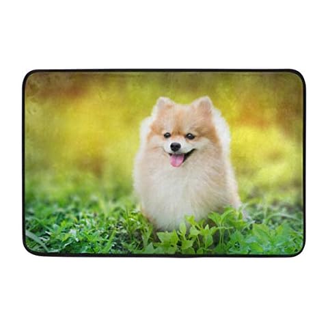 MyDaily - Felpudo para Perro con diseño de Pomerania Cover