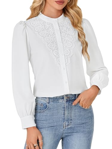 Rooscier Women's Lace Mock Long Sleeve Button Down Elegant Blouse Shirt Top Fall Clothes4