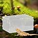 Leefasy Reptile Feeding Box Reptile Terrarium Acrylic Professional Spacious Container Turtles Box for Young Bearded Dragon, 30x20x15cm