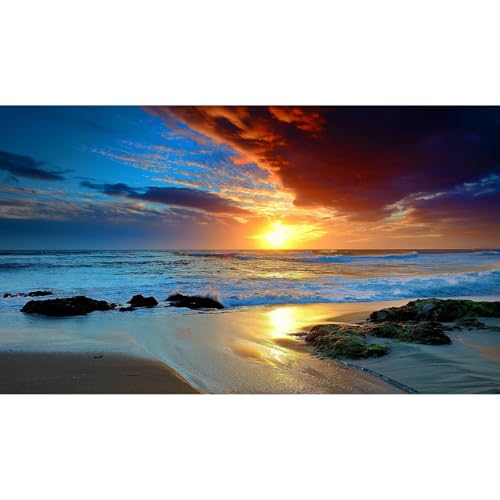 Sunset Beach Aquarium Background Sunrise Ocean Seashore Fish Tank Background Ocean Seascape Terrarium Background Amazing Sunrise Over Seacoast Sand Ocean Waves Reptile Tank Background 48x24in