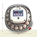 Harris Farms Nurture Right Egg Incubator for Hatching Chicks, Holds 12-22 Eggs, Automatic Turner with Temperature and Humidity Control, 360 Degree View with Clear Window, Incubator for Chickens