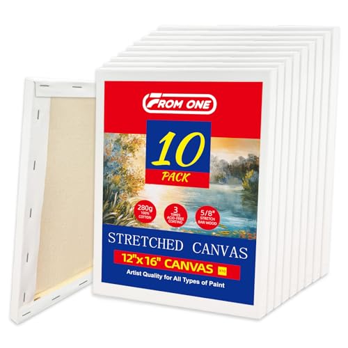 10-Pack 12x16 Stretched Canvas 100% Cotton Triple Primed for Acrylic & Oil