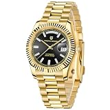 Pagani Design Men's Watch DD36 1752 Luxury Automatic Mechanical, Sapphire Glass, Day Date Watch, Seagull Caliber ST16, 100m Water Resistant, Gold Black, Classic