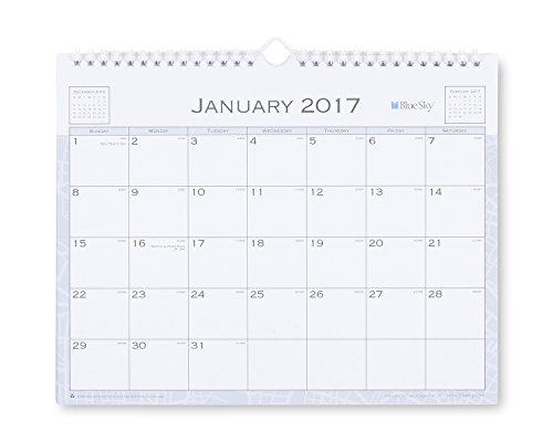 Blue Sky Passages 11 x 8.75 Monthly Wall Calendar, 2017