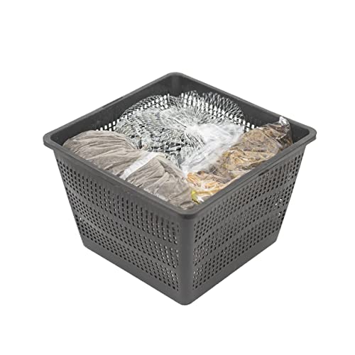 Echte Seerosen Winterhart im bunten Mix Teich Pflanzen, Aquarium Pflanzen Teichpflanzen im Pflanzkorb Wasserpflanzen Seerose Nymphaeae Anzuchtset Teichpflanzen winterhart (1 Seerose Rosa)