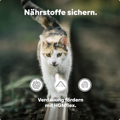 HGM Darmpulver Katze – Probiotika & Präbiotika zur Unterstützung der Darmflora nach Gabe von Wurmkur, Antibiotika, Durchfall & Blähungen, entwickelt und geprüft von Tierarzt Dr. Knoop – 90g