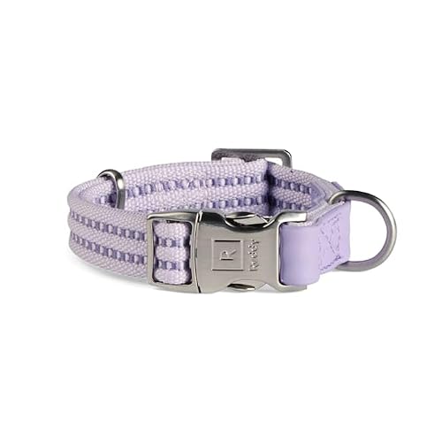 Reddy Lilac On-The-Go Webbed Dog Collar, Small