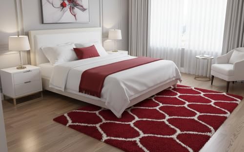 Image of Carpet for Hallway, Kitchen, and Modern Interiors, Cozy Shag Runner for Living Room, Entryway & Office Decor Size 6x9 feet Red M