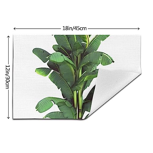 Set de table PVC résistant à la chaleur pour repas en extérieur