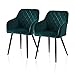 TUKAILAI 2 Stück Esszimmerstühle aus Samt für Freizeit, Lounge, Akzentstühle mit gepolstertem Sitz, Metallbeinen für Wohnzimmer Esszimmer Küche Empfang Grün