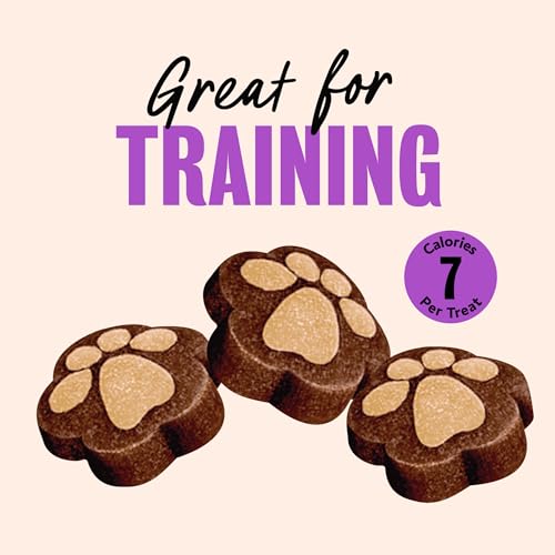 Cesar Softies Filet Mignon Flavor Chewy Soft Dog Treats, 18 oz - image 2
