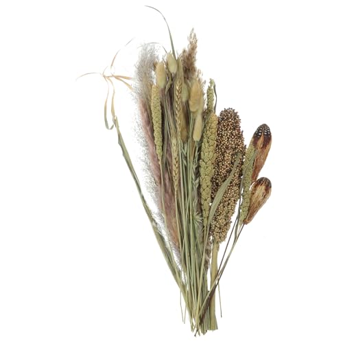 Ramo natural de pasto pampas seco decorativo