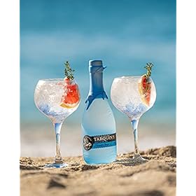 Tarquin's Pink Grapefruit & Elderflower Dry Gin, 70cl & Handcrafted Cornish Dry Gin, 70cl – Tarquin's Cornish Gin