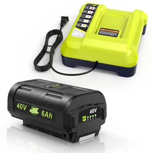 Compatible for Ryobi 40v Battery 6.0Ah OP4060 OP401 Charger Combo